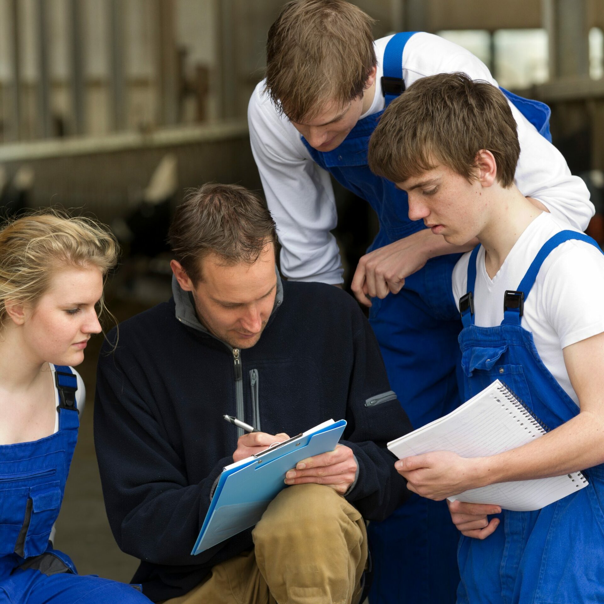 Fluktuation, Gesunde Ausbildung